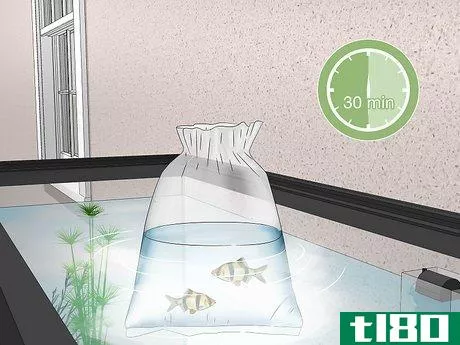 Image titled Acclimate Your Fish to a New Aquarium Step 12