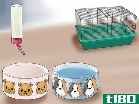 如何给仓鼠的笼子配饰(accessorize a hamster's cage)