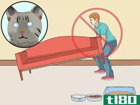 Image titled Adopt a Special Needs Cat Step 5