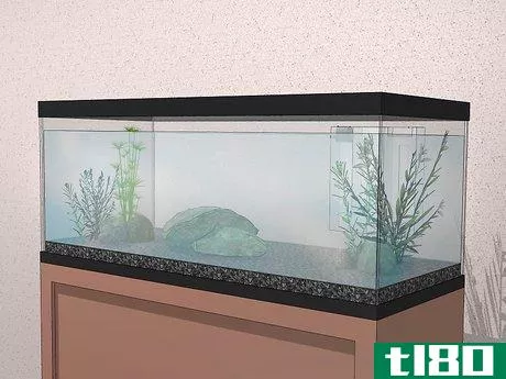 Image titled Acclimate Your Fish to a New Aquarium Step 10