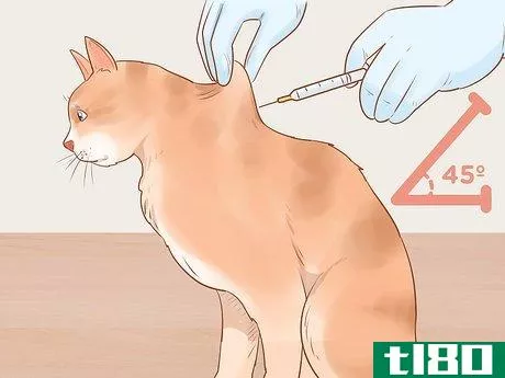 Image titled Administer Insulin to a Cat Step 13