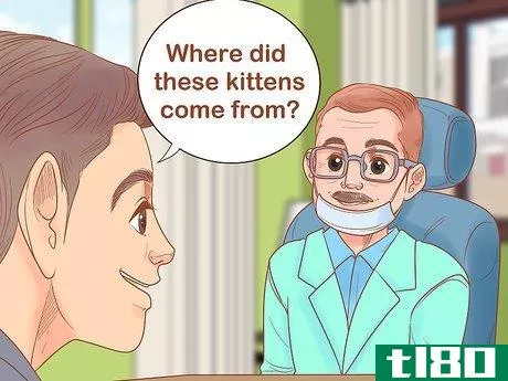 Image titled Adopt a Pair of Kittens Step 4
