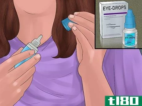 Image titled Apply Eye Drops in a Parrot's Eye Step 2