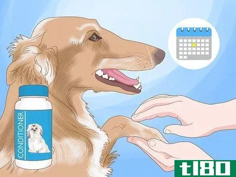 Image titled Alleviate Dry Skin in Dogs Step 9