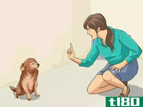 Image titled Adopt a Dog Step 11