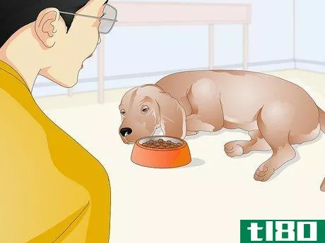 Image titled Administer Shots to Dogs Step 10