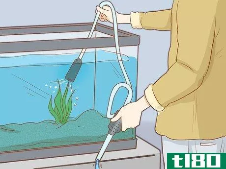 Image titled Add Fish to a New Tank Step 14