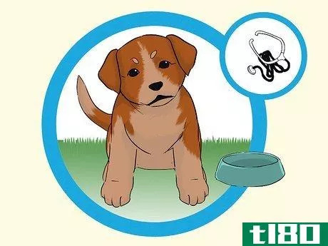 Image titled Add a Puppy to the Family Whilst Your Dog Is Pregnant Step 1
