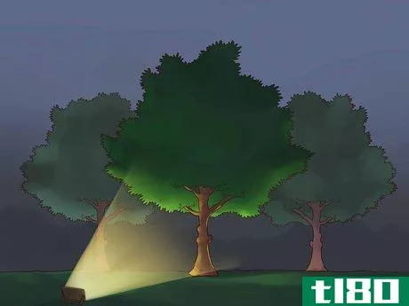 Image titled Accent Trees With Outdoor Lighting Step 9