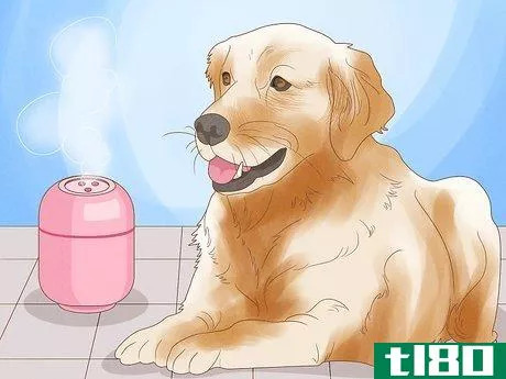 Image titled Alleviate Dry Skin in Dogs Step 8