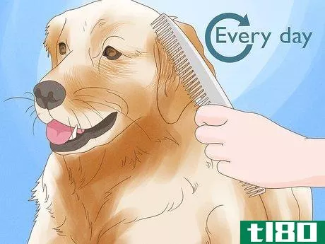 Image titled Alleviate Dry Skin in Dogs Step 6