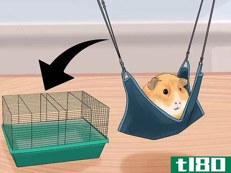 Image titled Accessorize a Hamster's Cage Step 2