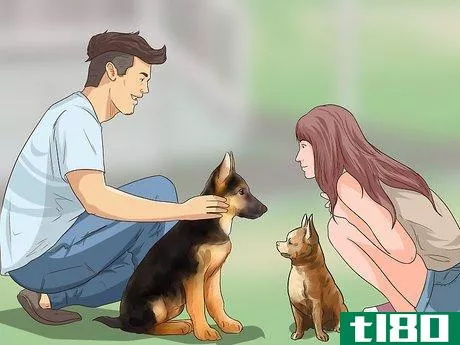 Image titled Adopt a Dog Step 12