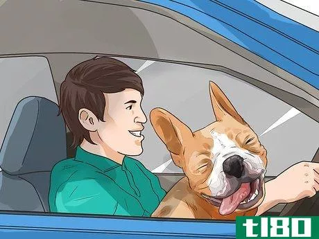 Image titled Adopt a Dog Step 10