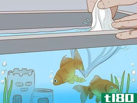 Image titled Add Fish to a New Tank Step 9