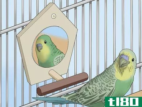 Image titled Amuse Your Parakeet or Other Bird Step 3