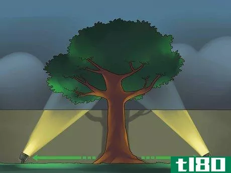 Image titled Accent Trees With Outdoor Lighting Step 4