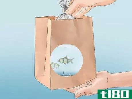 Image titled Acclimate Your Fish to a New Aquarium Step 11