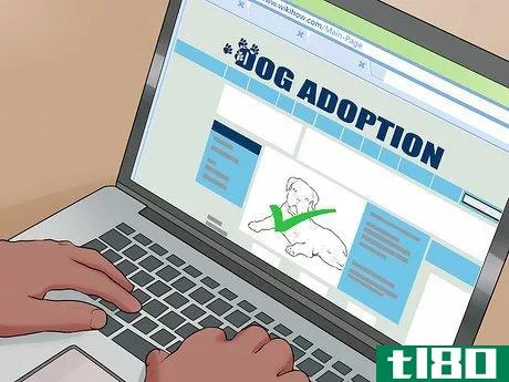 Image titled Adopt a Dog from a Humane Society or Animal Shelter Step 4
