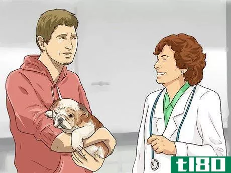 Image titled Adopt a Dog Step 5