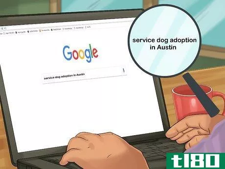 如何领养退役导盲犬(adopt a retired guide dog)
