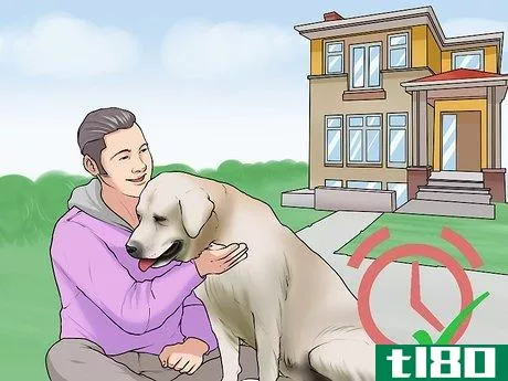 Image titled Adopt a Dog from a Humane Society or Animal Shelter Step 1
