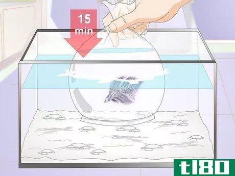 Image titled Acclimate Your Betta Step 5