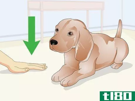 Image titled Administer Shots to Dogs Step 6