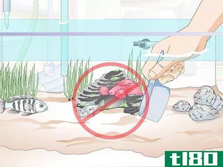Image titled Add a Betta to a Community Tank Step 10