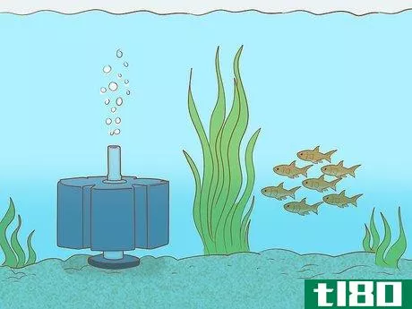 Image titled Add Fish to a New Tank Step 5