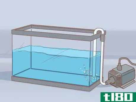 Image titled Add Fish to a New Tank Step 3