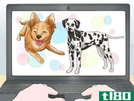 Image titled Adopt a Dog Step 1