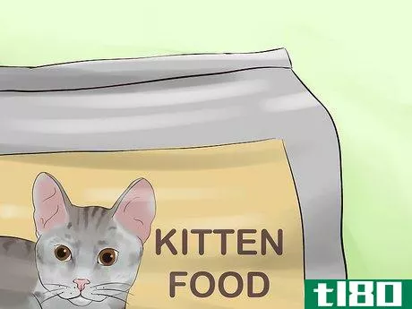 Image titled Adopt a Kitten Step 6