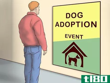 Image titled Adopt a Fostered Dog Step 13