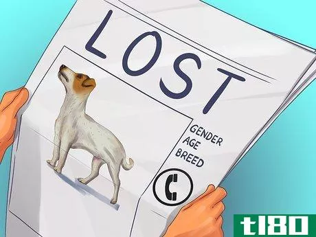 Image titled Advertise a Lost Dog Step 7