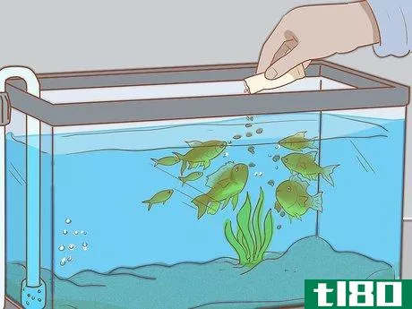 Image titled Add Fish to a New Tank Step 15