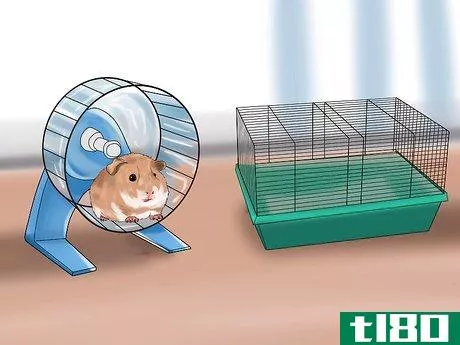 Image titled Accessorize a Hamster's Cage Step 3