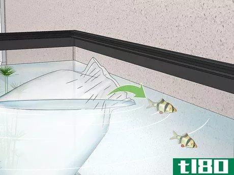 Image titled Acclimate Your Fish to a New Aquarium Step 14