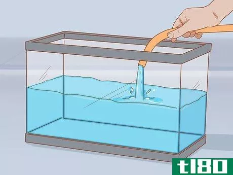 Image titled Add Fish to a New Tank Step 2