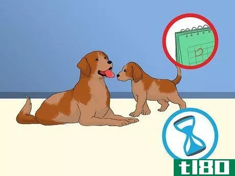 Image titled Add a Puppy to the Family Whilst Your Dog Is Pregnant Step 5