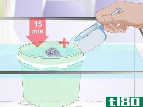 Image titled Acclimate Your Betta Step 11