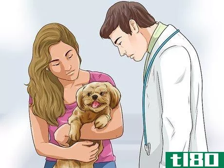 Image titled Adopt a Dog Step 13