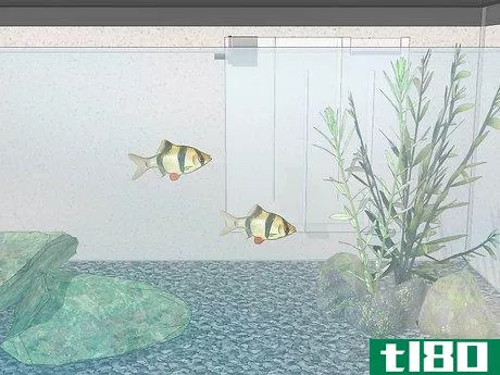 Image titled Acclimate Your Fish to a New Aquarium Step 15