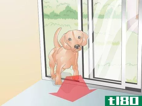 Image titled Air Condition Your Dog's House Step 4