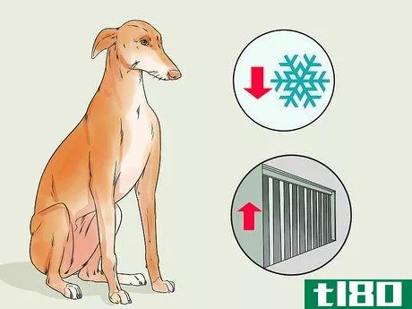 Image titled Adopt a Greyhound Step 2