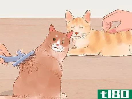 Image titled Administer Insulin to a Cat Step 9