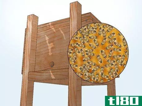 Image titled Attract Bees to a Bee Box Step 12