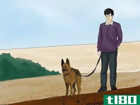 Image titled Avoid Losing Your Dog Step 1