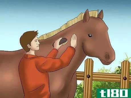 Image titled Catch a Horse Step 17