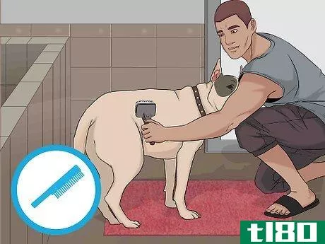 Image titled Bathe a Dog in a Shower Step 4
